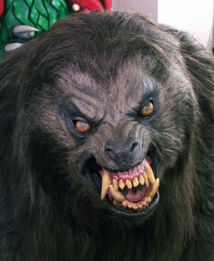 american-werewolf-in-london-movie-prop-restoration-1-520x633.jpg, 97 KB